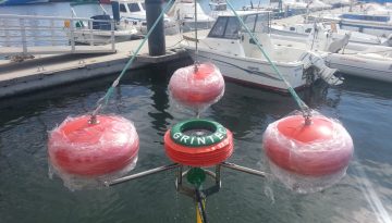 Skimmers de rebosadero